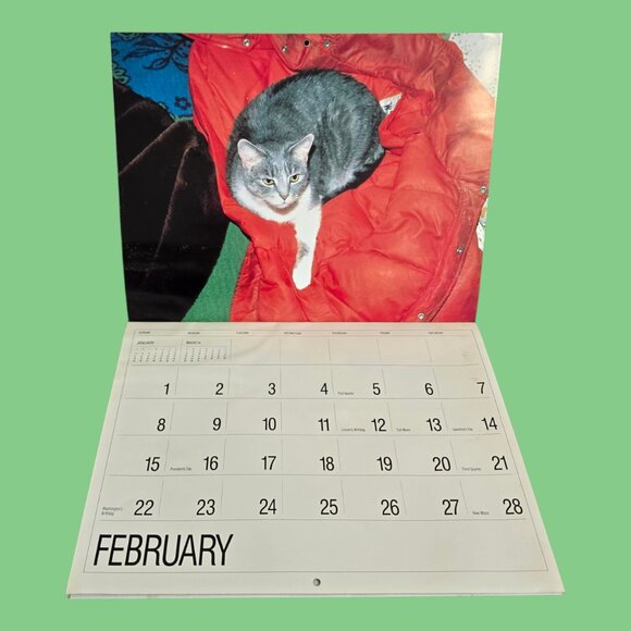 Vintage 1987 (Same as 2026!) Woogie is a Cat Wall Calendar 13" x 10" - Picture 2 of 4